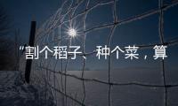 “割个稻子
、种个菜
，算劳动教育吗？”：下乡一周33年