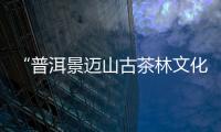 “普洱景迈山古茶林文化景观”	，申遗成功