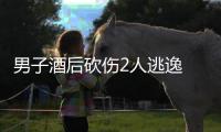 男子酒后砍伤2人逃逸 警方：已抓获归案并刑拘