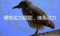 硬核实力赋能�，潍柴动力亮相第四届长三角国际应急博览会
！
