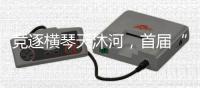 竞逐横琴天沐河，首届“龙抬头”小龙舟环绕赛扬桨开赛