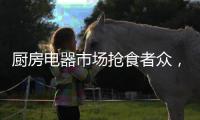 厨房电器市场抢食者众，老板电器市占率将进一步提高