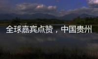 全球嘉宾点赞，中国贵州正点绿成“金”