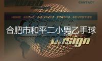 合肥市和平二小男乙手球队再夺省联赛冠军