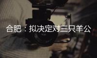 合肥：拟决定对三只羊公司没收违法所得、罚款共计6894.91万元