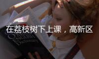 在荔枝树下上课，高新区这群青少年直呼“有韵味！”