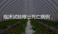 临床试验曝出死亡病例，阿尔茨海默新药前景几何？