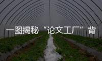 一图揭秘“论文工厂”背后的产业链丨漫热点