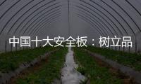 中国十大安全板�	
：树立品牌形象 健康发展