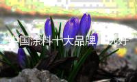 中国涂料十大品牌	
：选好网购平台 为发展做铺垫
