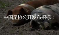 中国足协公开发布招标：千万布局国足行业大模型