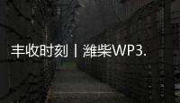丰收时刻丨潍柴WP3.6N勇当先，油菜丰收捷报传