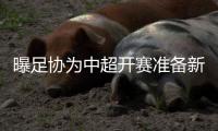 曝足协为中超开赛准备新方案：16支队不分组