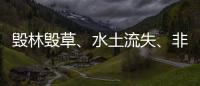 毁林毁草
、水土流失�、非法采矿……中央生态环保督察集中通报3省区典型案例