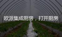 欧派集成厨房，打开厨房设计新方向丨欧派橱柜