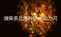 潍柴多元燃料矿山动力闪耀中国国际矿业展，四大关键词解码硬核实力	！