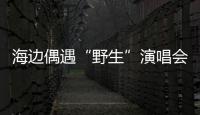 海边偶遇“野生”演唱会！珠海的夜晚 总有意想不到的惊喜
