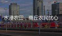 水浸农田�，商丘农民忧心秋收秋种