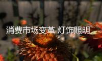 消费市场变革 灯饰照明品牌变还是不变?