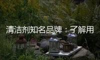 清洁剂知名品牌：了解用户需求 注重市场反馈