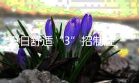 夏日舒适“3”招制胜 与神田电器共度惬意的沐浴时光