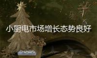 小厨电市场增长态势良好 “久买闲置”成常态