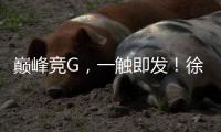 巅峰竞G	，一触即发	！徐工挖机掀起潇湘大地竞技热潮
