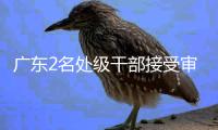 广东2名处级干部接受审查调查�，其中1人主动投案