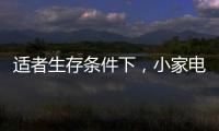 适者生存条件下，小家电品牌从细节入手控成本