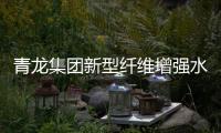 快排公司十年历程，霸屏兔 seo 的崛起与坚守