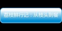 荔枝鲜行记
：从枝头到餐桌
，中国重汽豪沃TS7冷藏车让鲜甜如约而至
