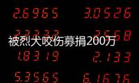 被烈犬咬伤募捐200万争议
�：医院称未开证明
，轻松筹称家属自估金额