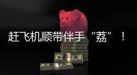 赶飞机顺带伴手“荔”	！广东新鲜荔枝跟你“飞”回家