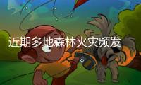 近期多地森林火灾频发 国家森防指要求做好森林草原火灾防控工作