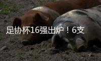足协杯16强出炉！6支中超球队惨遭淘汰