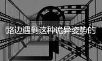 路边遇到这种诡异姿势的鸟，别碰！赶紧远离�！