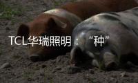 TCL华瑞照明：“种”一片翠绿，让生活和工作更添生机