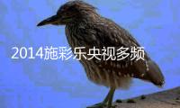 2014施彩乐央视多频道包围追击	，抢占黄金时段眼球