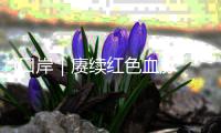 i口岸｜赓续红色血脉 边检民警与师生共缅忠魂志